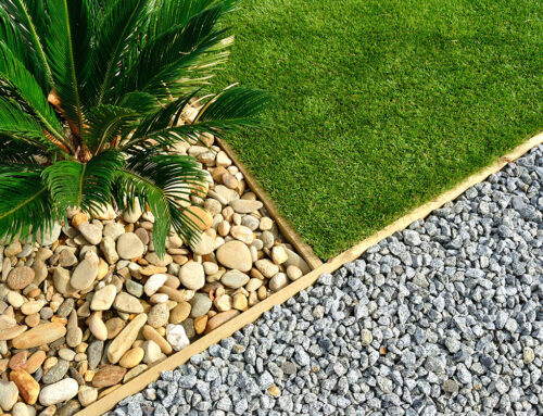 Environmental Stresses and Your Lawn