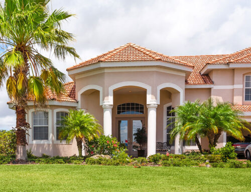 Protecting Your Lawn from Damage